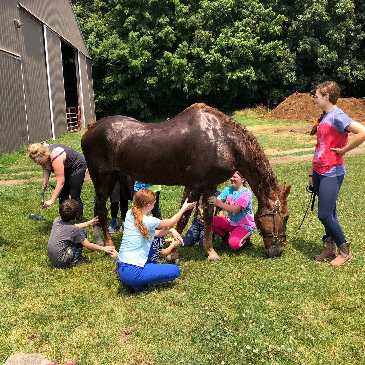 People washing a brown horse outside a barn on a sunny day.