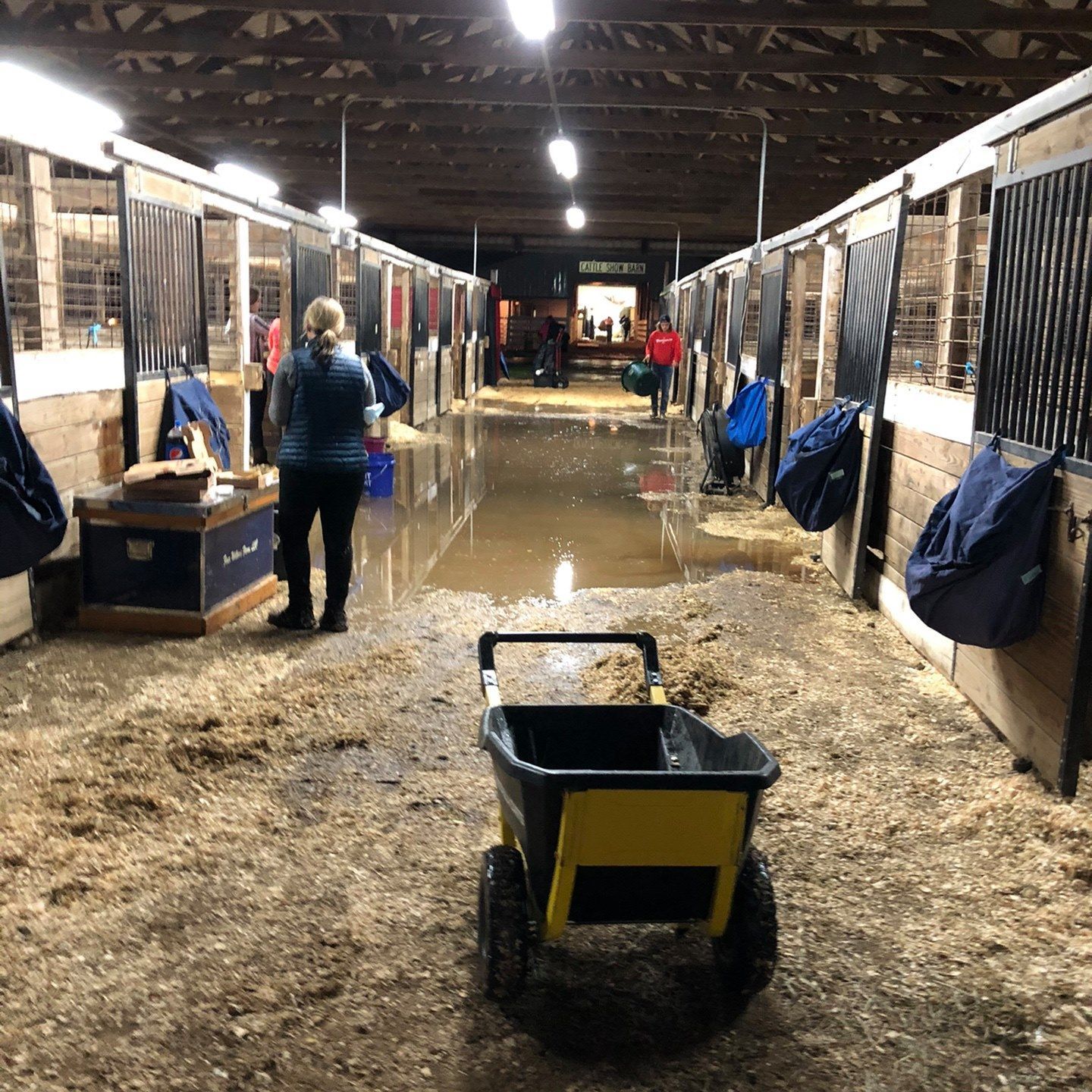 Horse stable aisle flooded with water; person stands near a wheelbarrow.