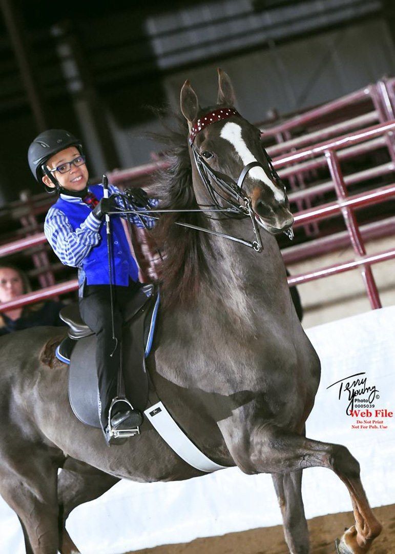 Young rider on gray horse in arena, smiling. Horse with bridle and raised leg. Blue vest and helmet.