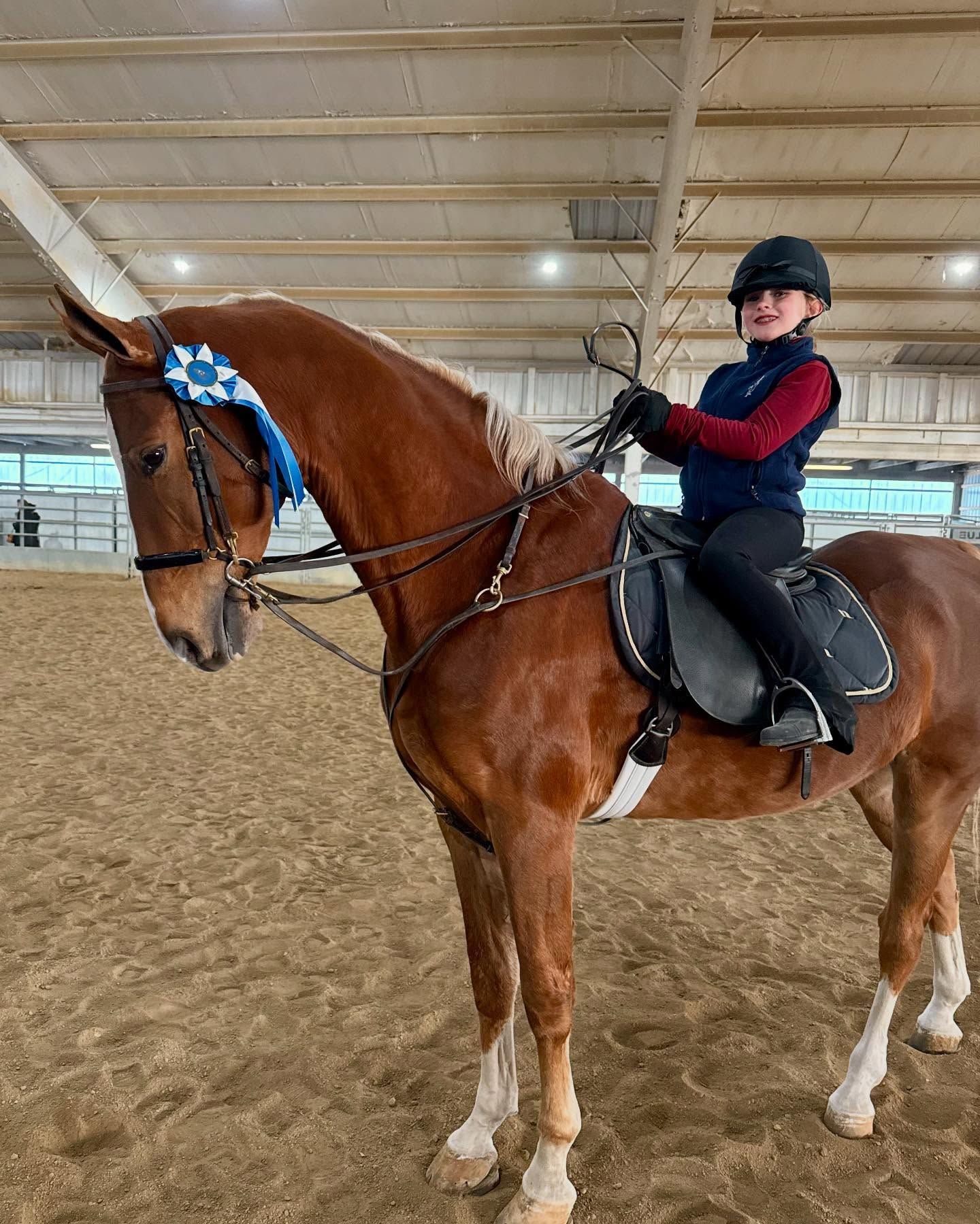 Girl in riding gear on chestnut horse, wearing blue ribbon, in indoor arena.