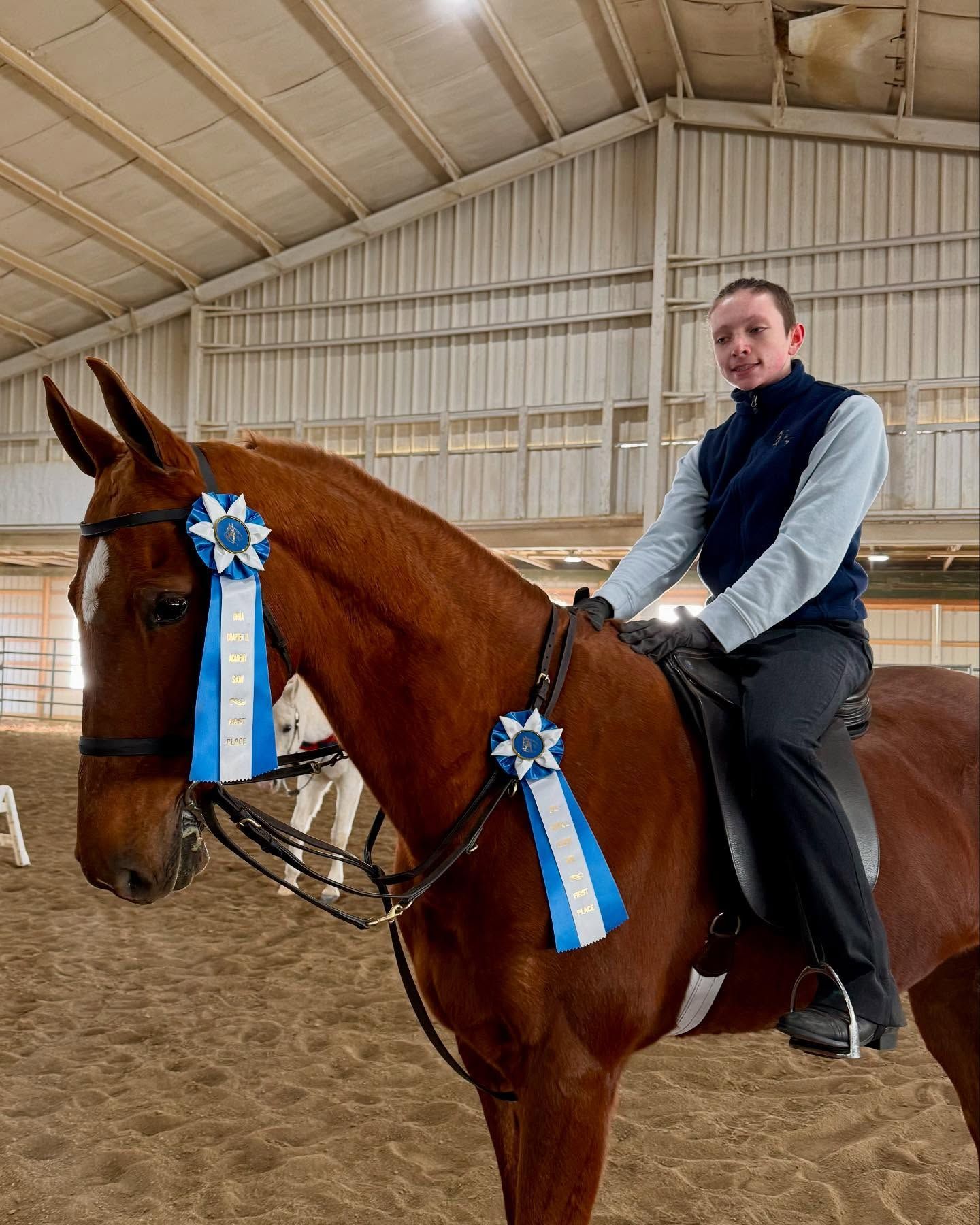 Person on a chestnut horse inside an arena, wearing ribbons.