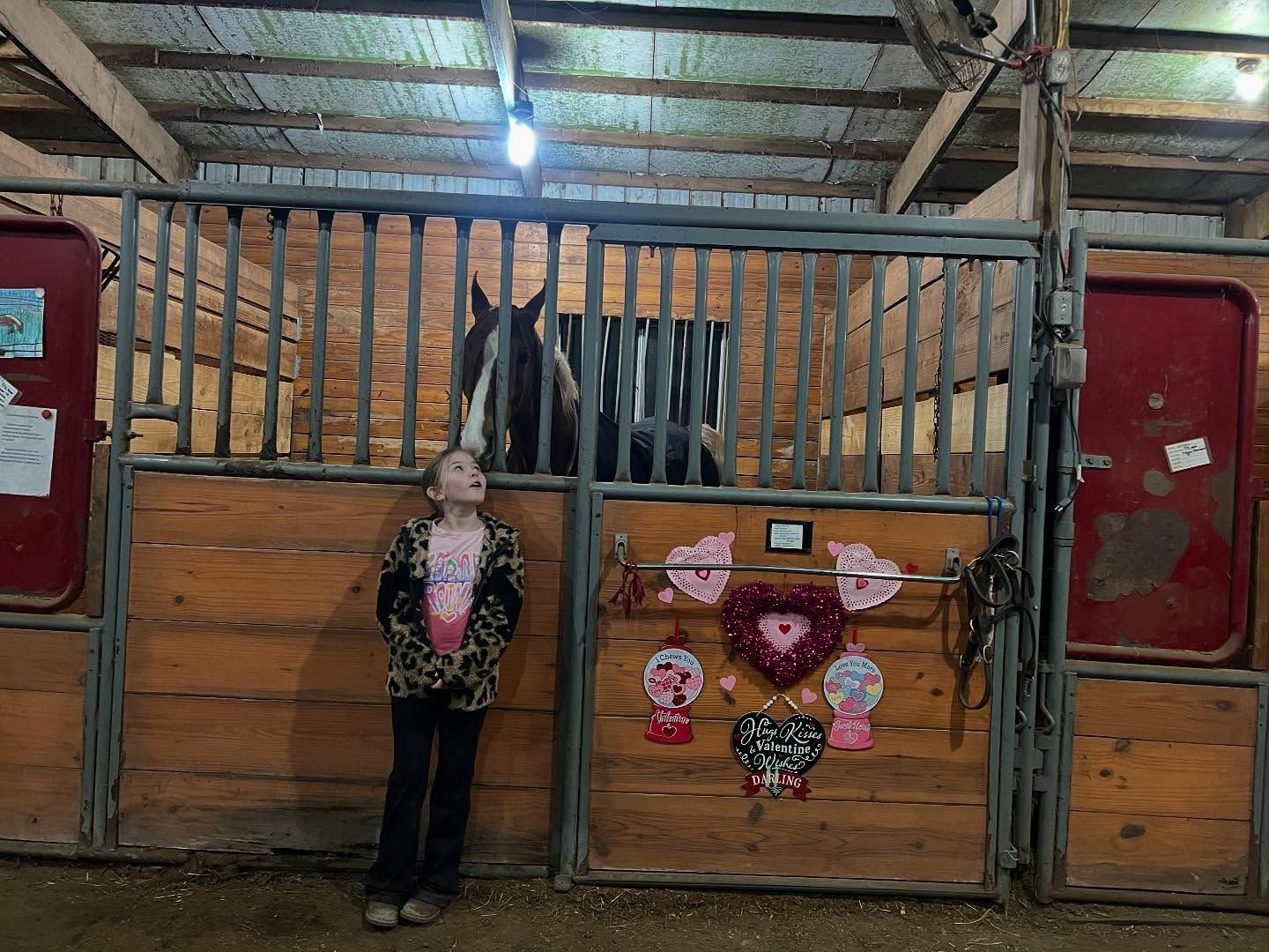 Girl looks up at a horse in a stall; wood and metal structure. Decorations on the stall.