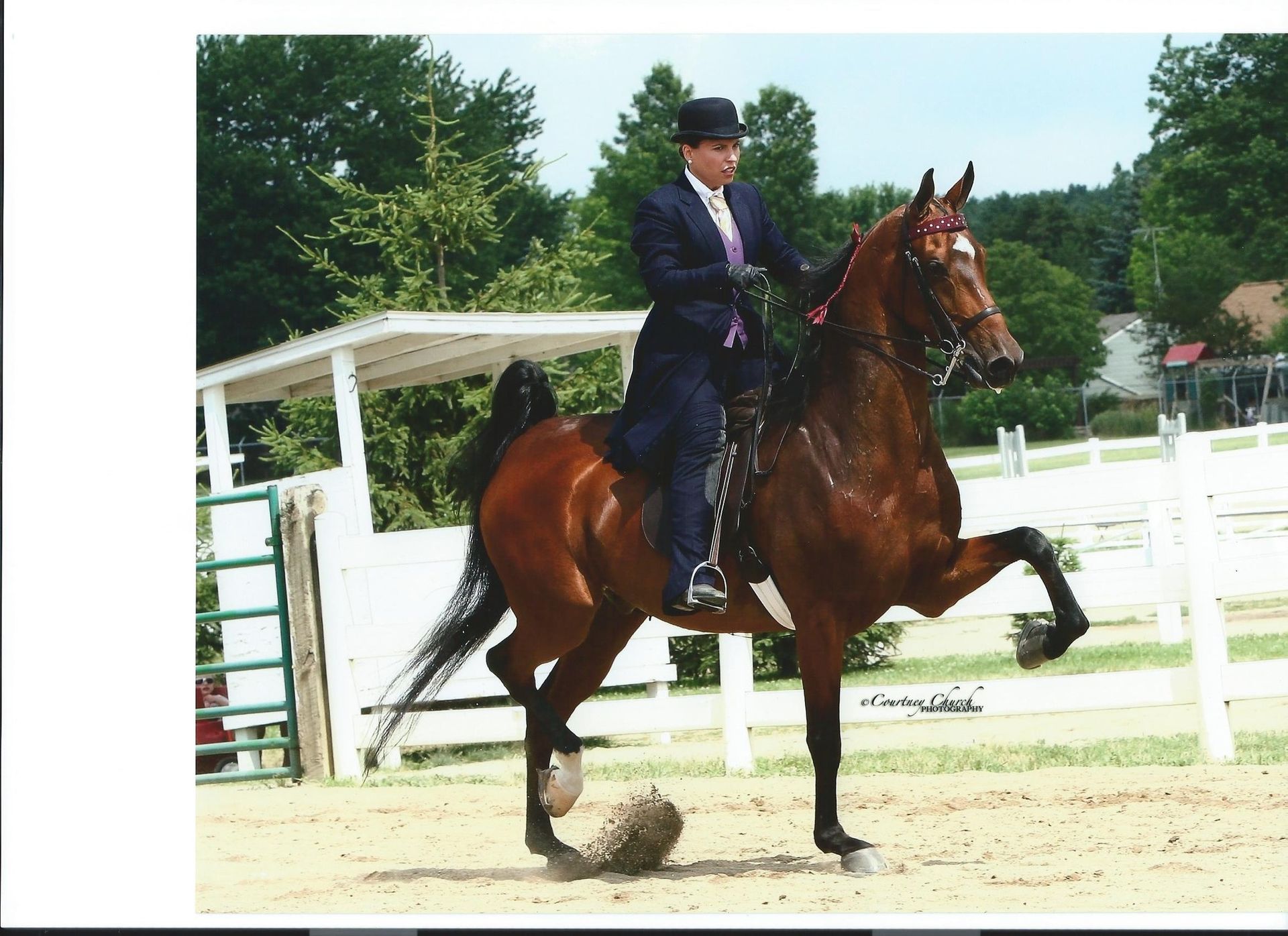 Horse and rider in formal attire performing a high-stepping gait in an arena.