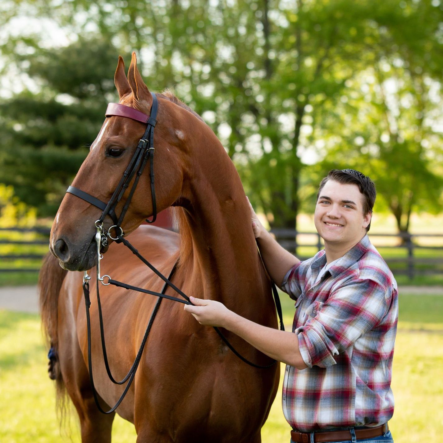 Man in plaid shirt smiles, petting brown horse with bridle in a green outdoor setting.