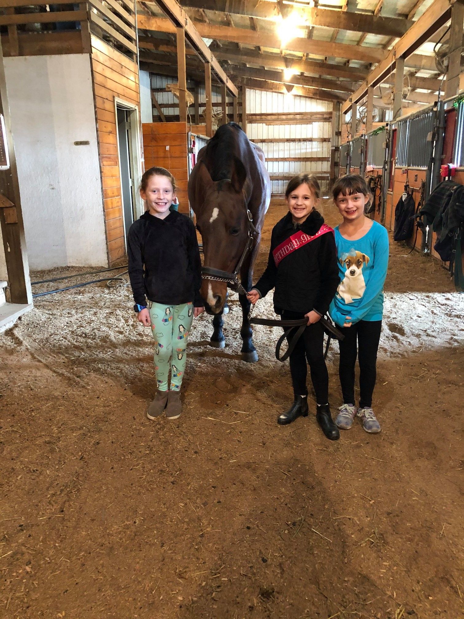 Three children and a horse stand in a barn. Girls hold the horse's lead.