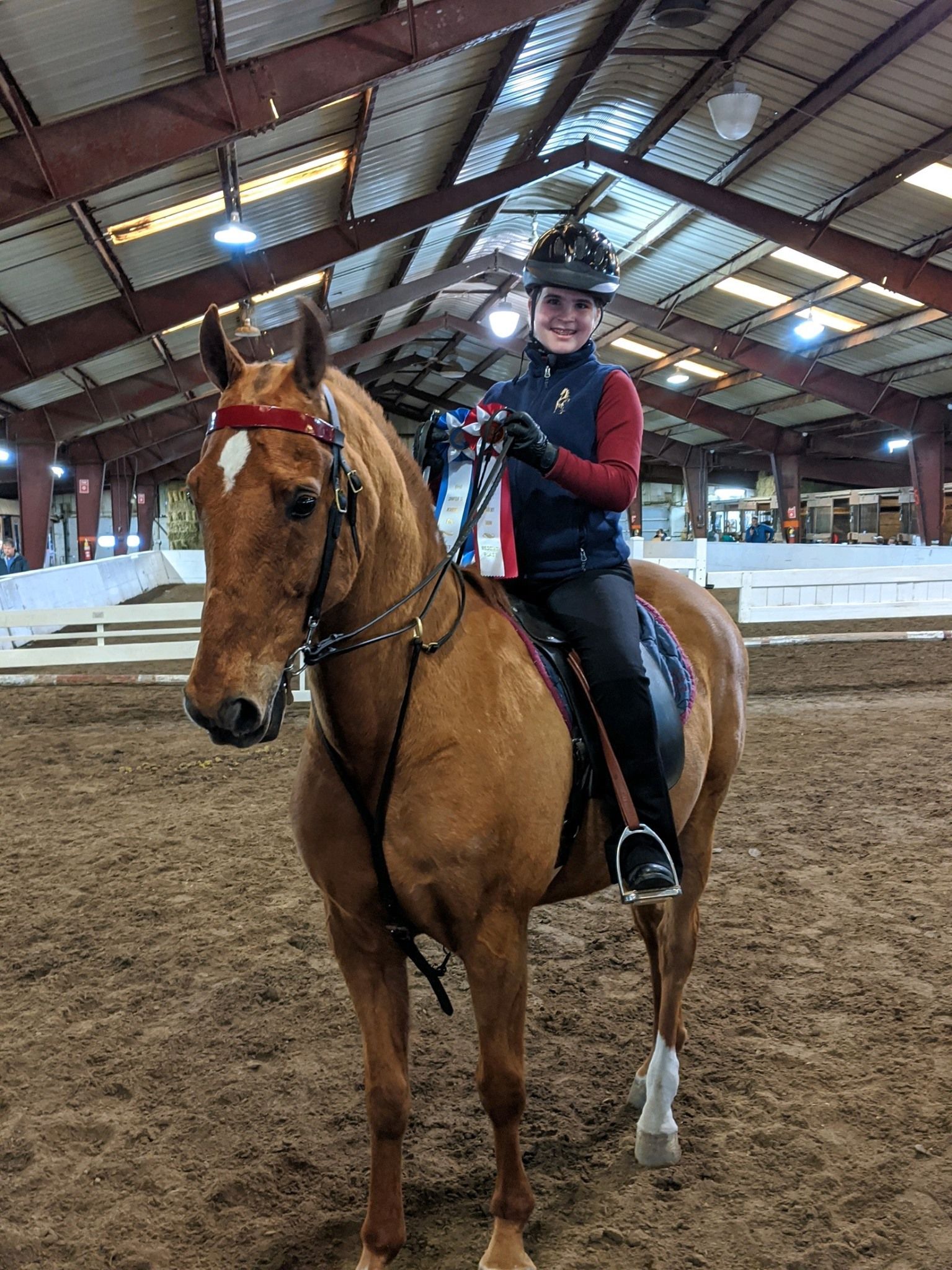 Person on a chestnut horse holding a blue ribbon in an indoor riding arena.