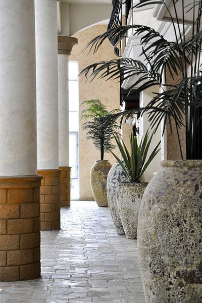A row of potted plants are lined up in a hallway