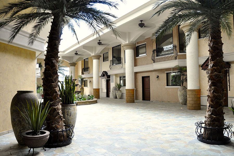 A courtyard with palm trees and potted plants in front of a building