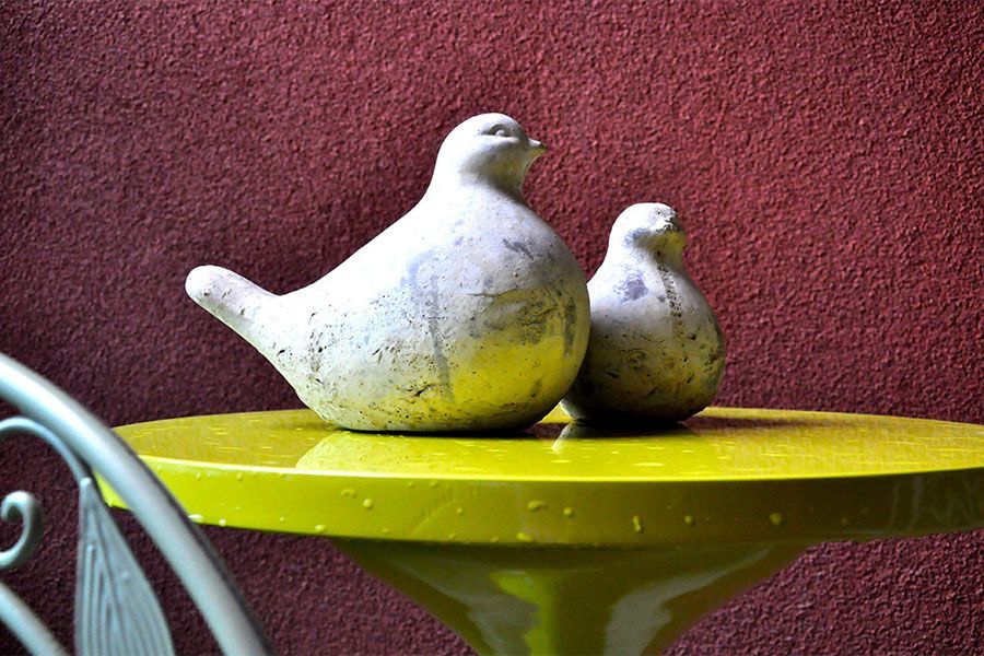 Two birds are sitting on top of a yellow table