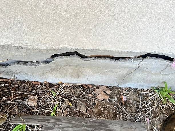 Cracked concrete foundation of a light-colored wall, with dark cracks and some vegetation at the base.