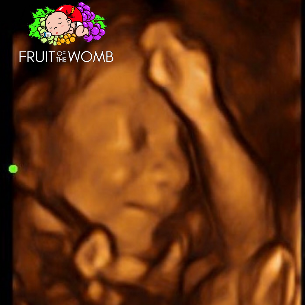 a picture of a baby in the womb with fruit of the womb written on it