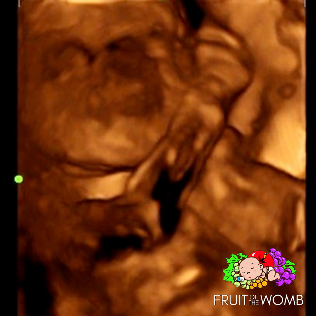 a picture of a baby in the womb with fruit of the womb on it