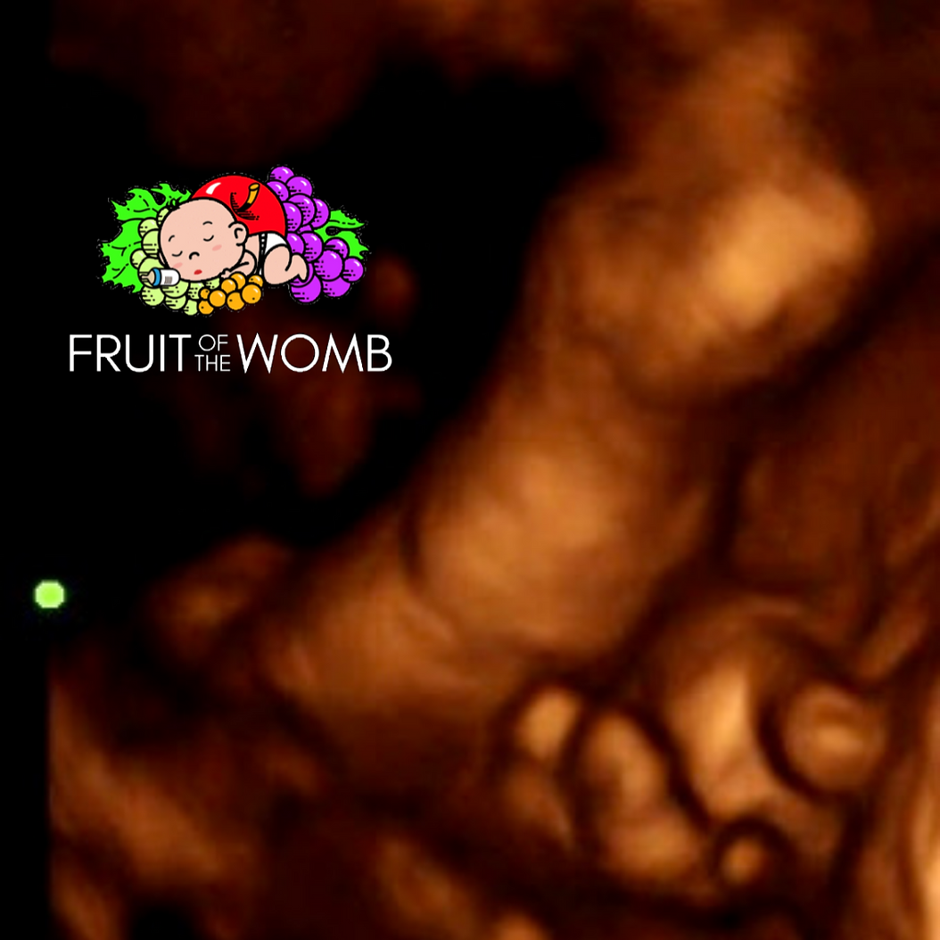 a fruit of the womb logo is on a dark background