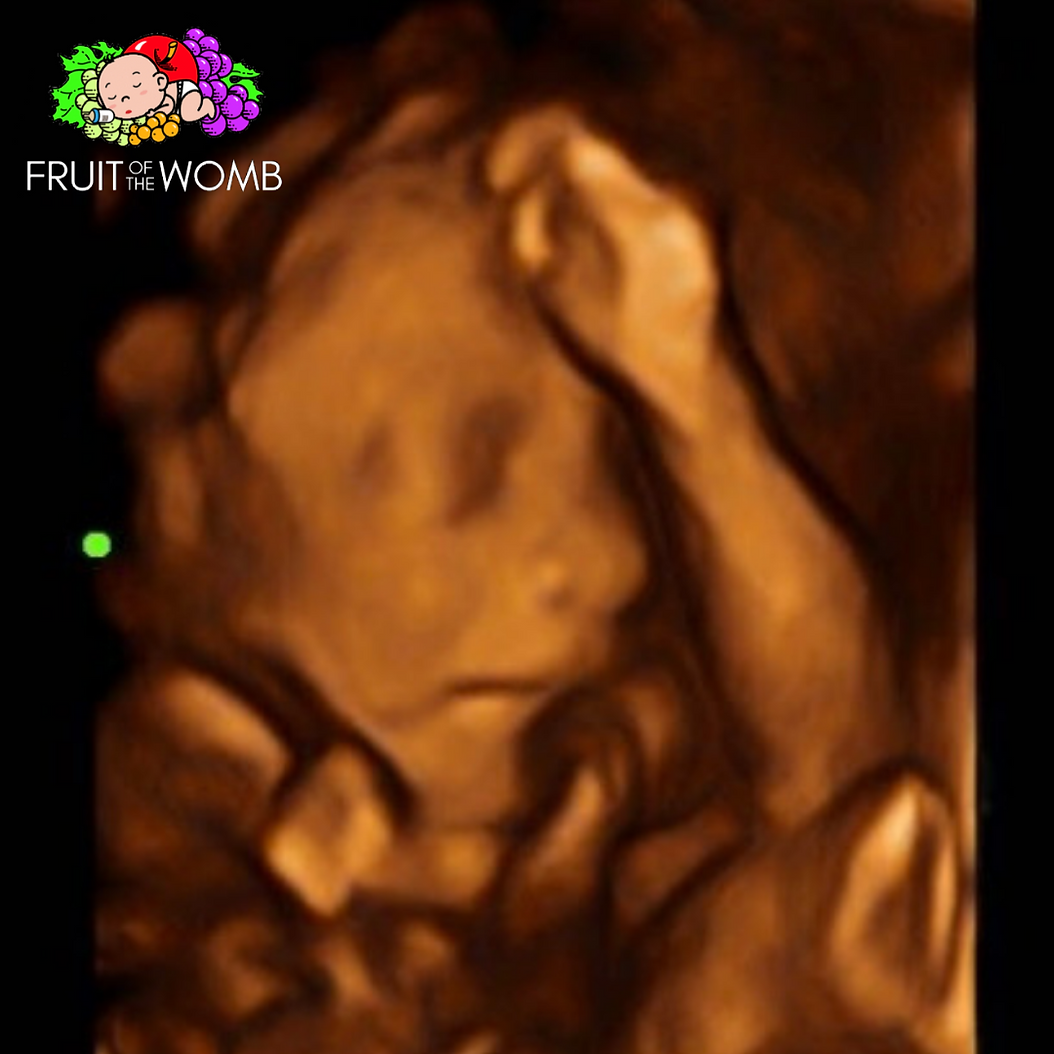 a picture of a baby with fruit of the womb written on it