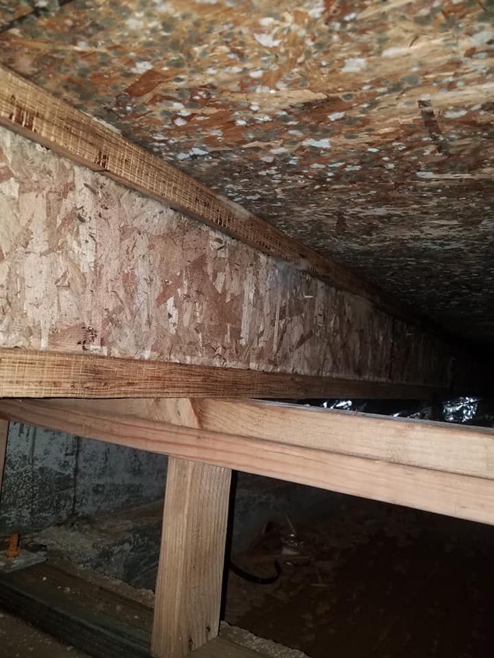 For mold remediation in Medford, OR, trust ACE Water Damage and Restoration