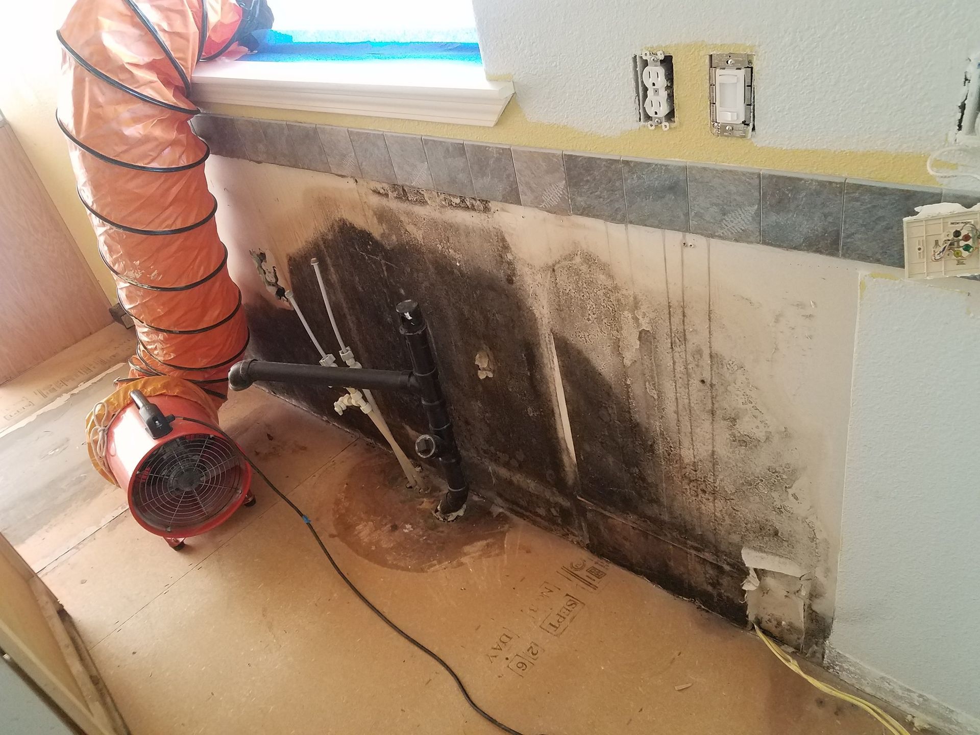 For mold remediation in Medford, OR, trust ACE Water Damage and Restoration