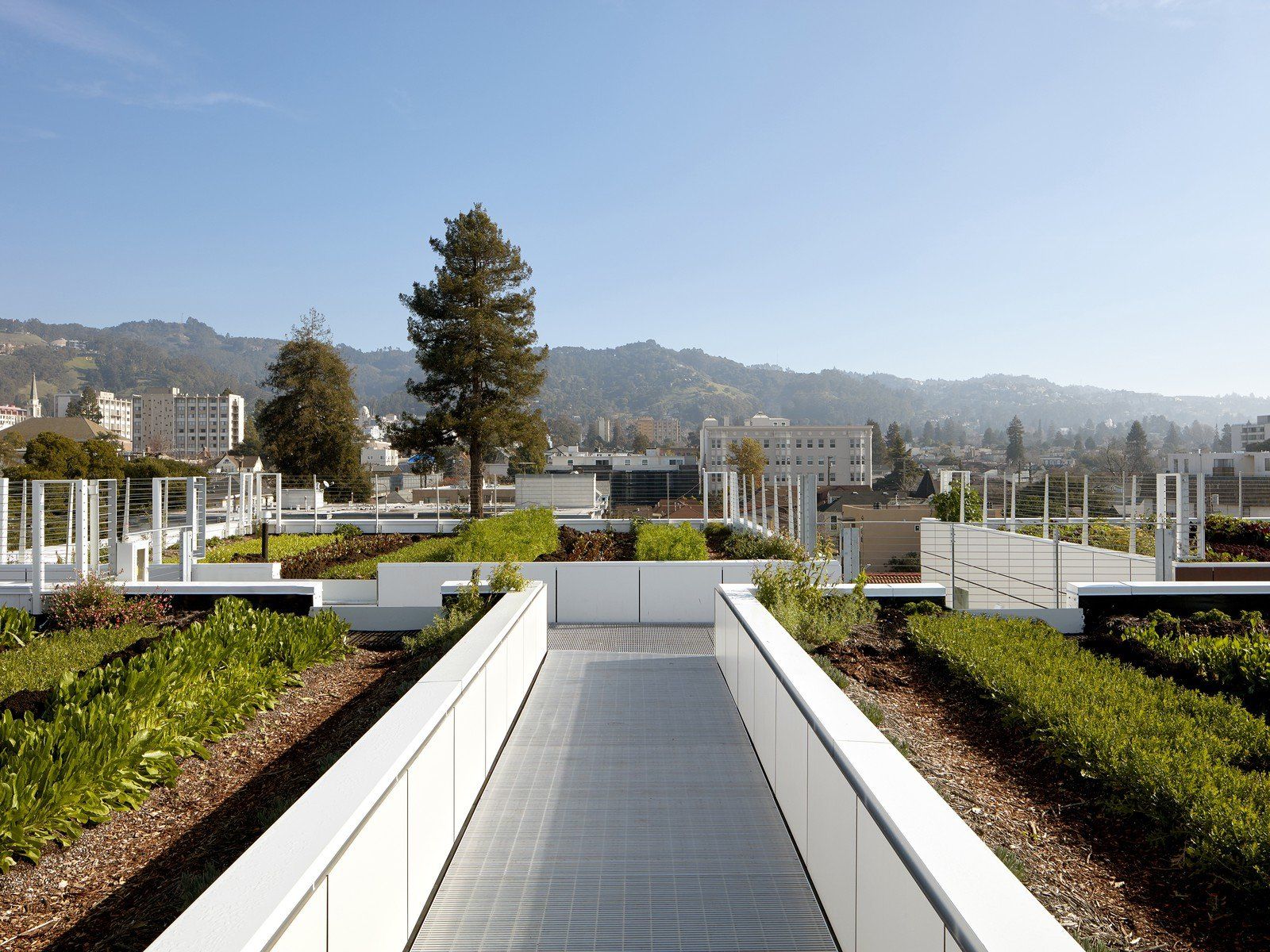 Garden Village - Apartments Near UC Berkeley