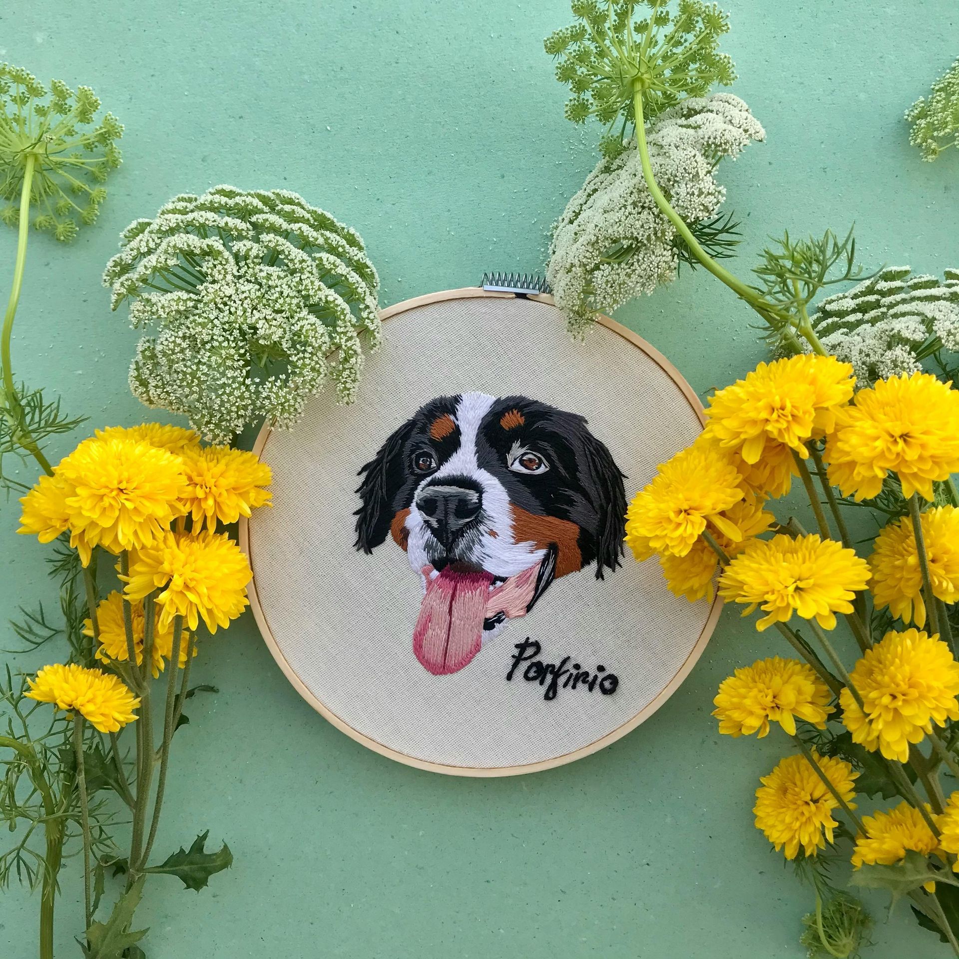 An embroidered portrait of a Bernese Mountain Dog named Porfirio, framed in a hoop, surrounded by yellow and white flowers.
