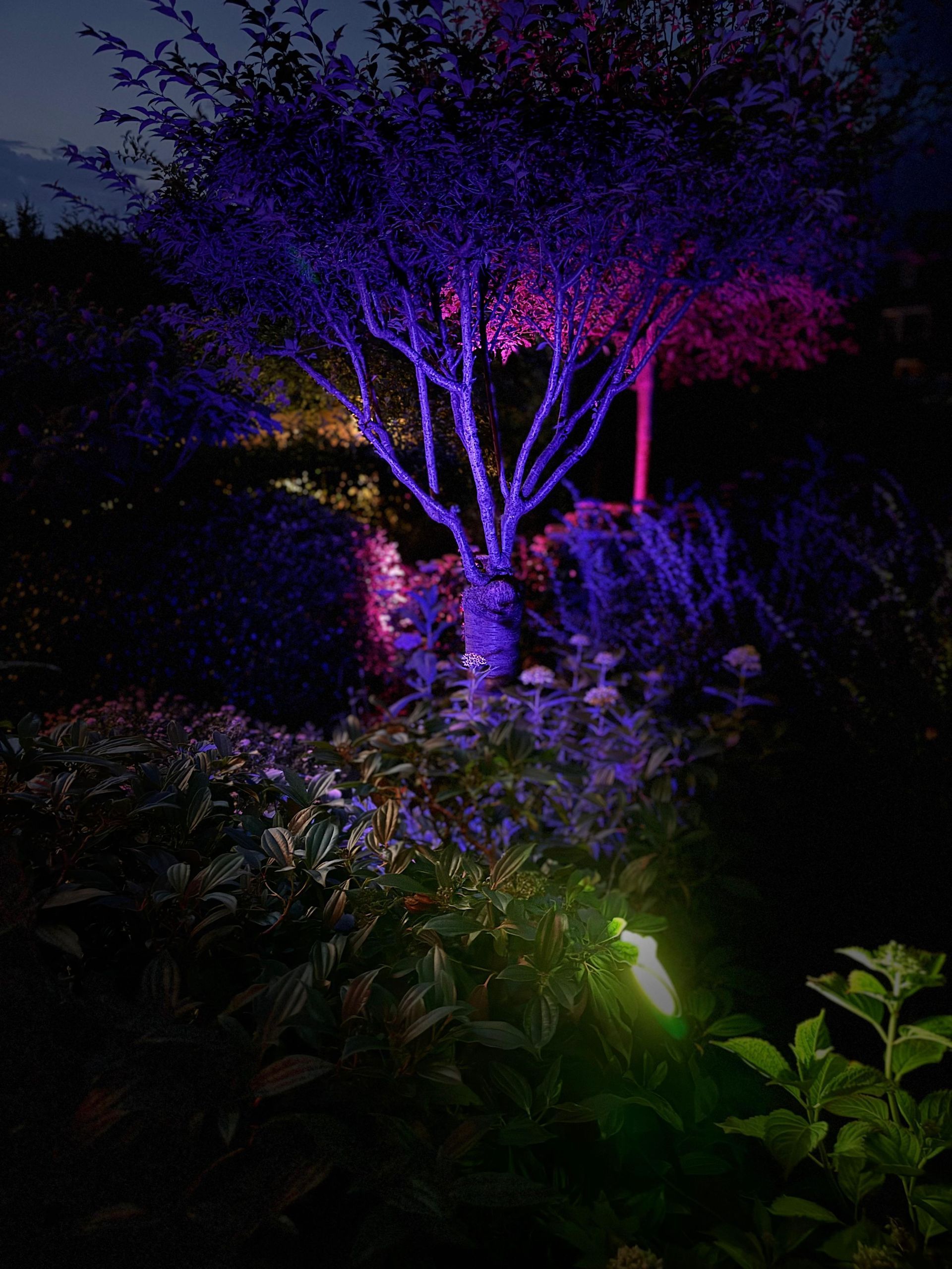 Slimme verlichting