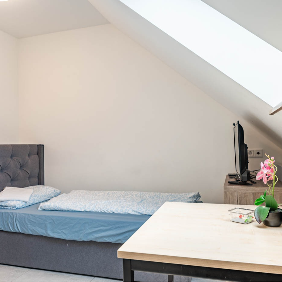 Bedroom with bed, TV, and table under a sloped ceiling with a skylight.