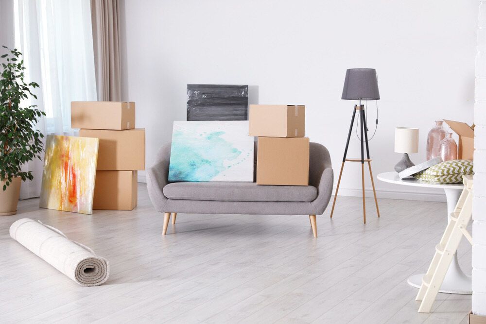 Boxes on a Gray Sofa, Art Leaning Against the Wall, and Rolled-up Rug  — Premier Removals & Storage In Boambee, NSW