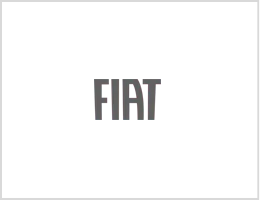 Il logo FIAT grigio centrato su sfondo bianco.