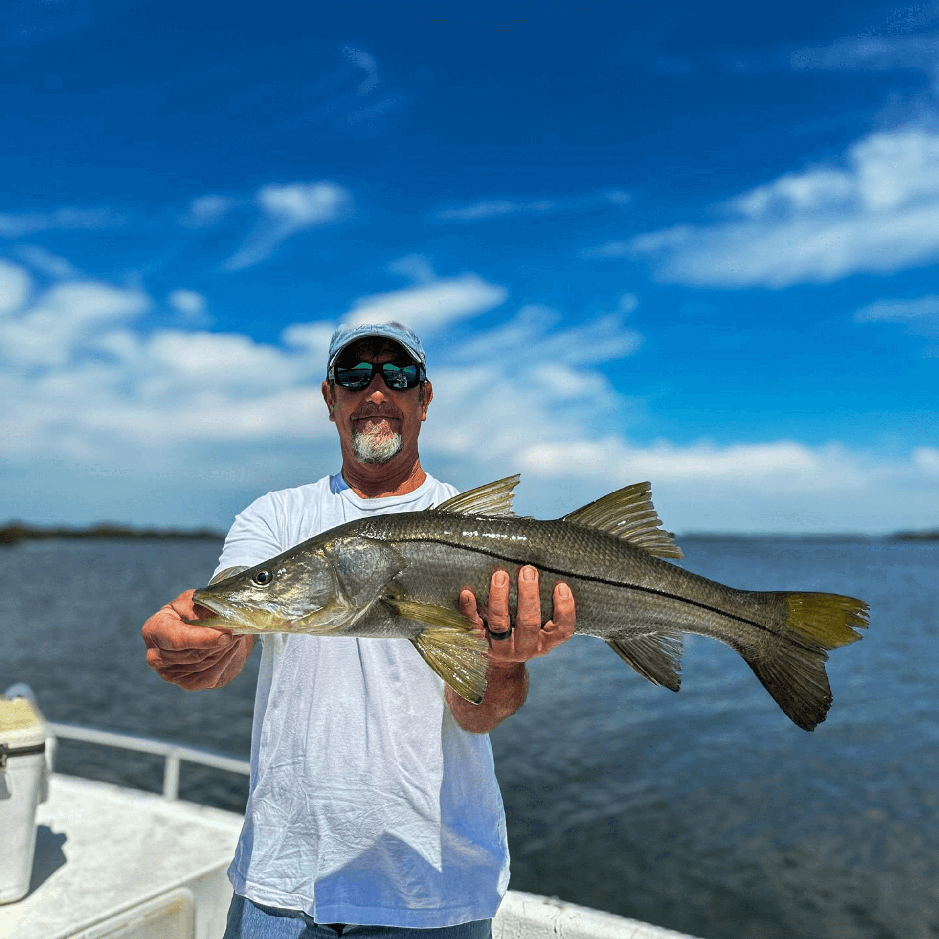 A man is holding a large Crystal River Snook in his hands on a boat.