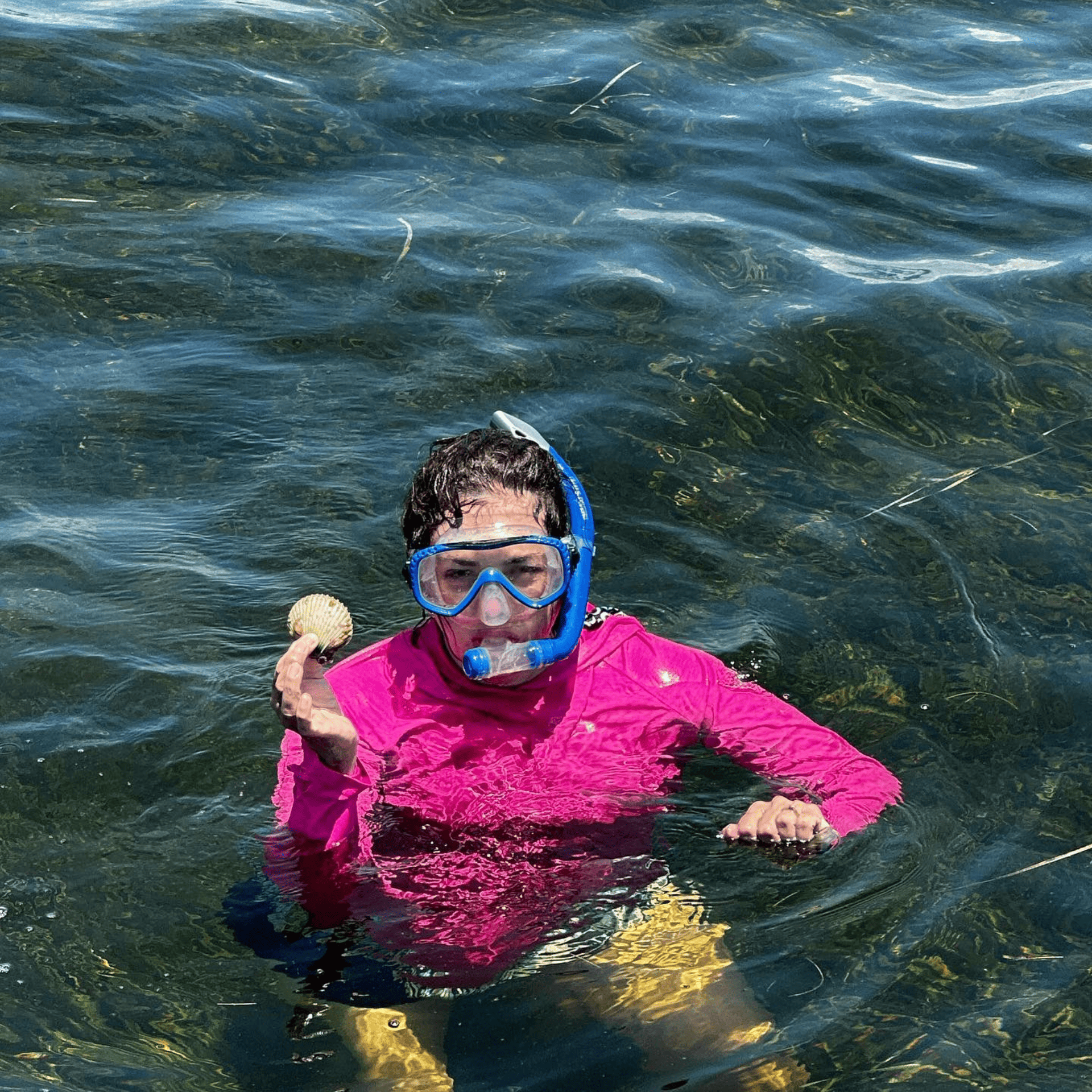 A woman wearing a pink shirt and blue goggles is swimming in the ocean for bay scallops