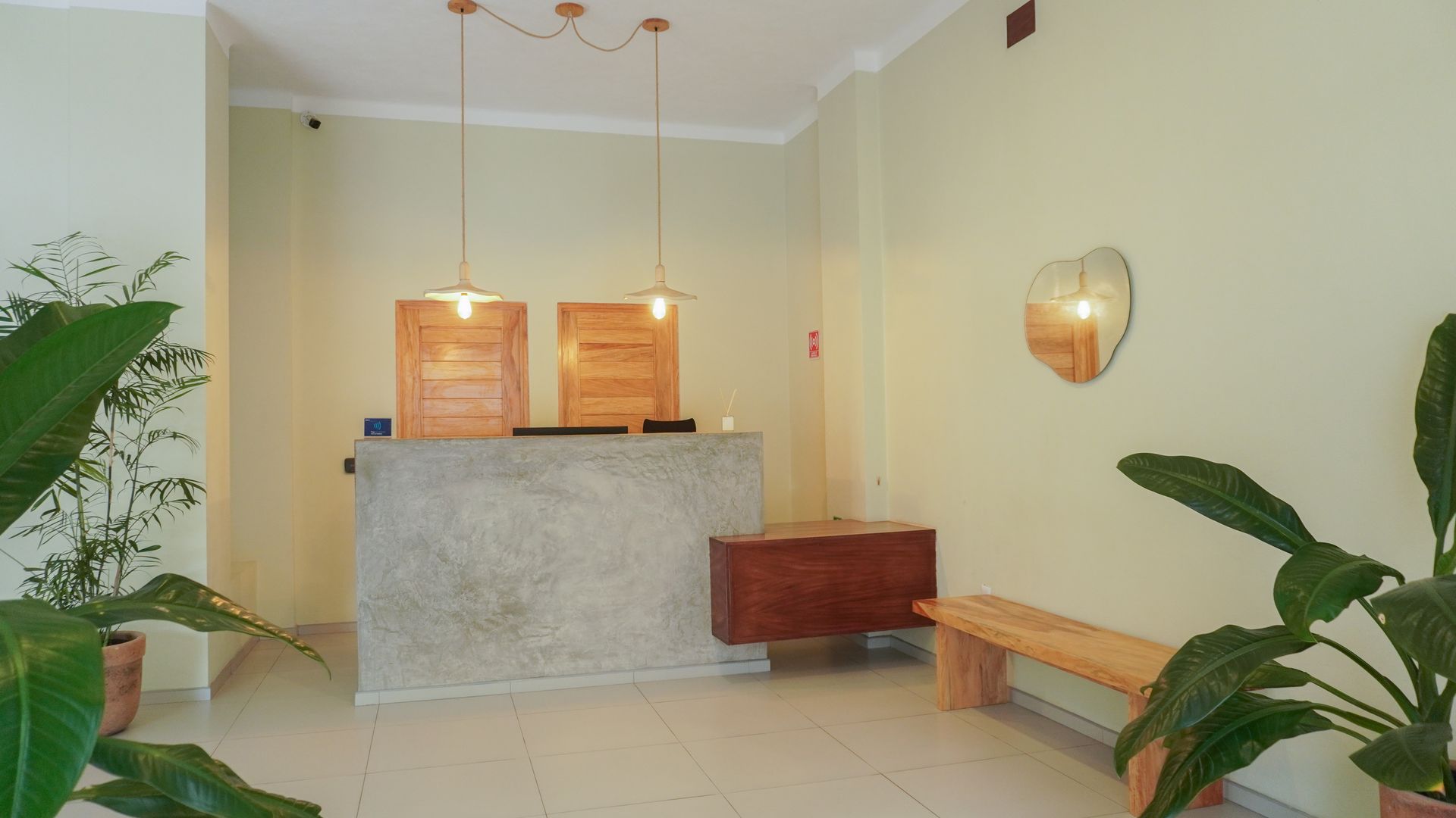 Recepción, plantas, lámparas