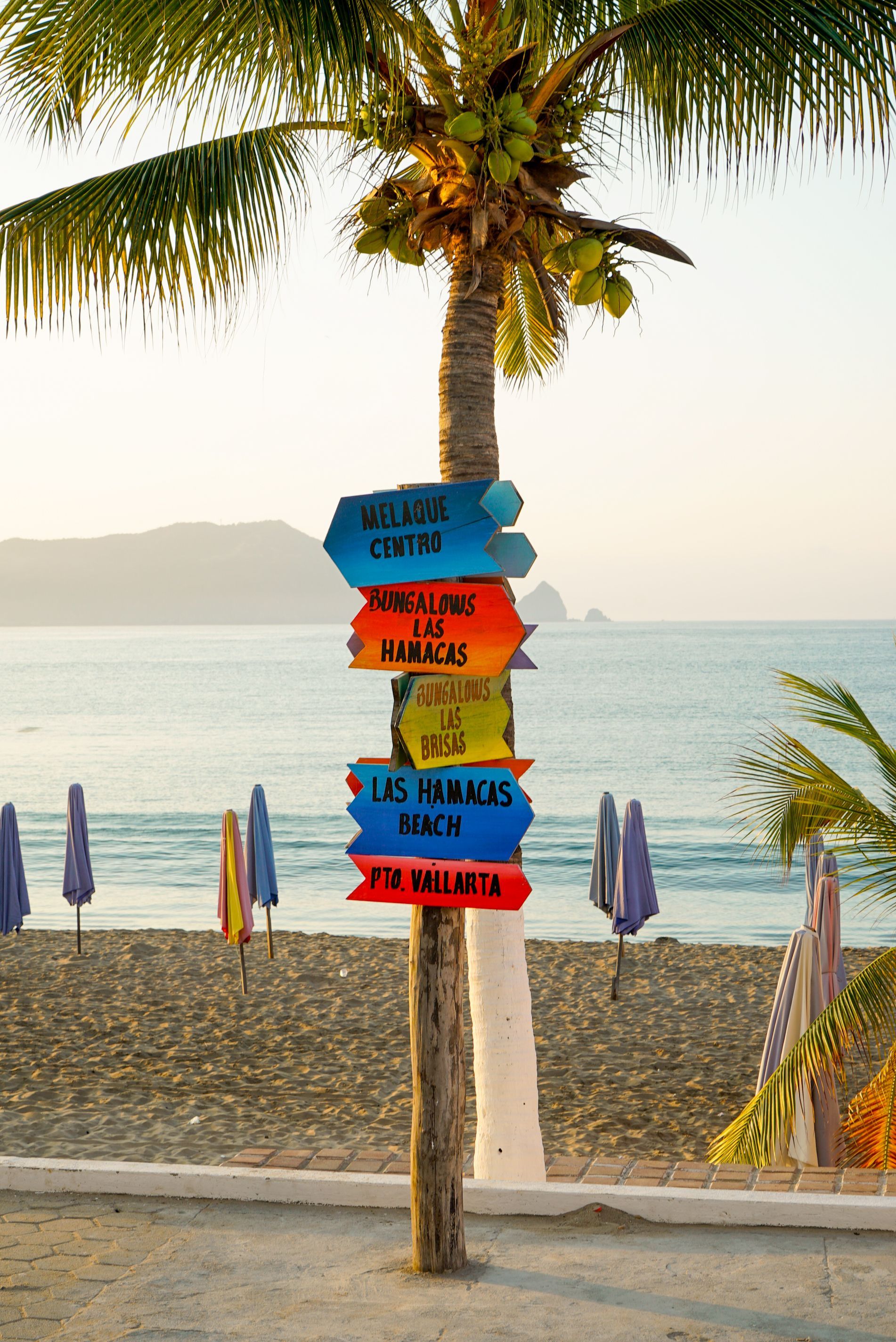 Una palmera con un cartel en la playa.