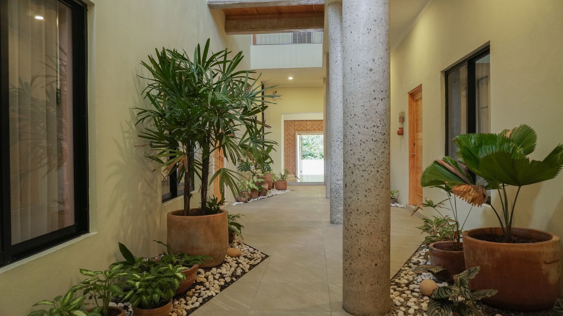 Pasillo, vegetación