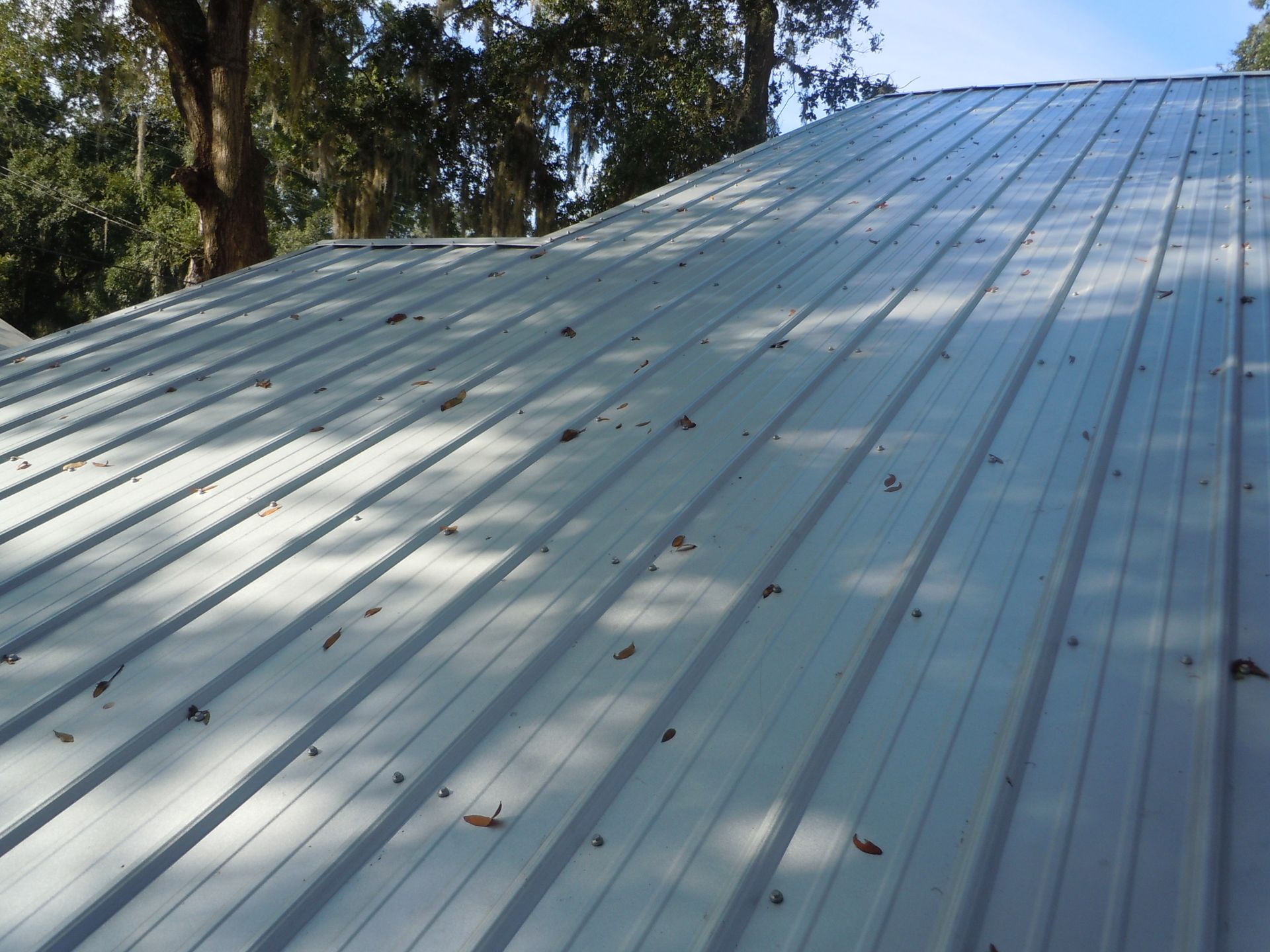 Metal roof with parallel ridges, scattered leaves, and sunlight.