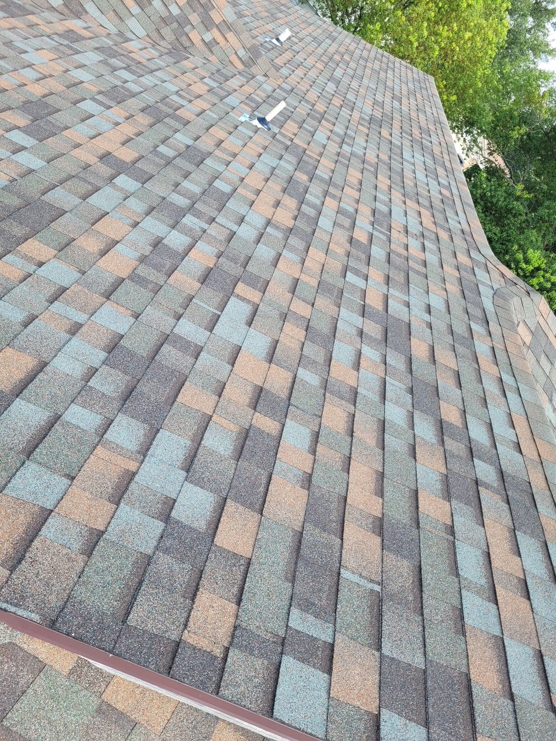Close-up of a multi-colored shingled roof with various shades of brown, green and gray.