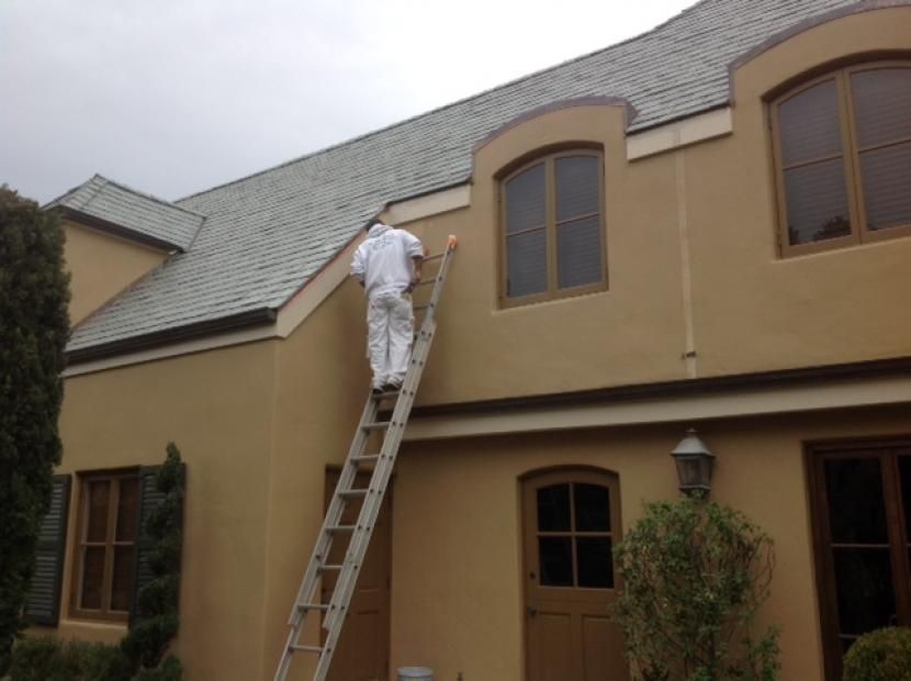 A man on a ladder paints the side of a house