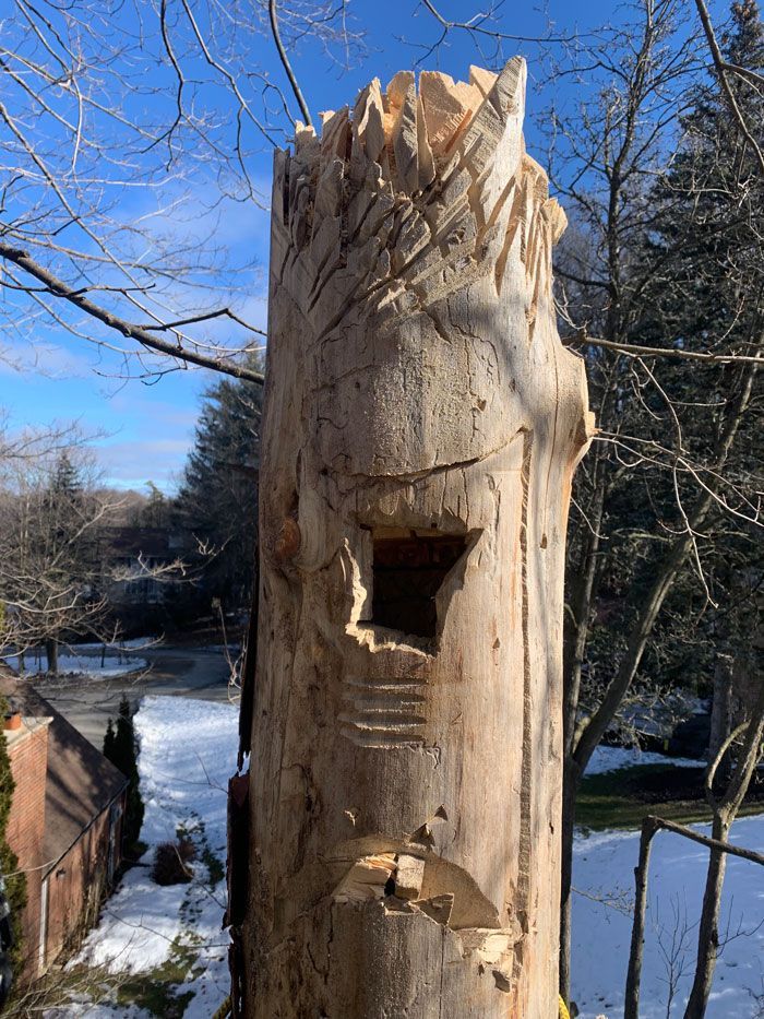 A tree stump carved into the shape of a face with a hole in it.