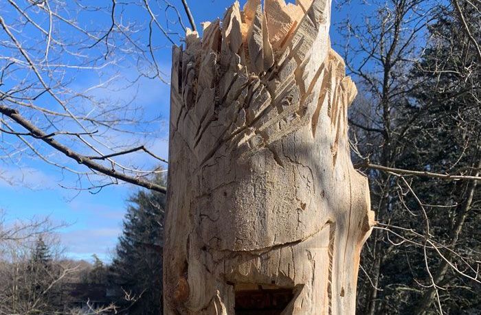 A tree stump carved into the shape of a face in the woods.
