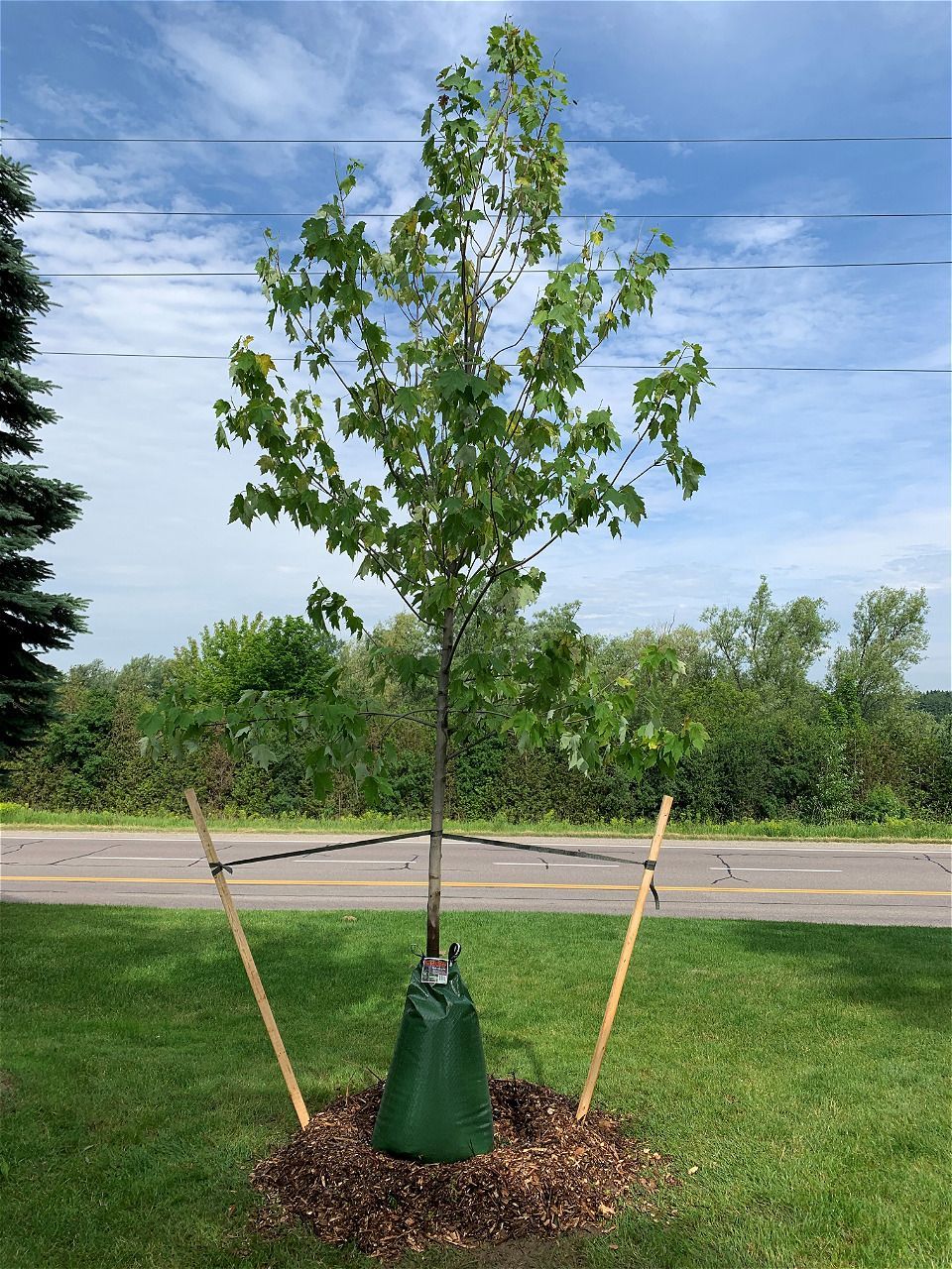 a clipboard with a pen.
