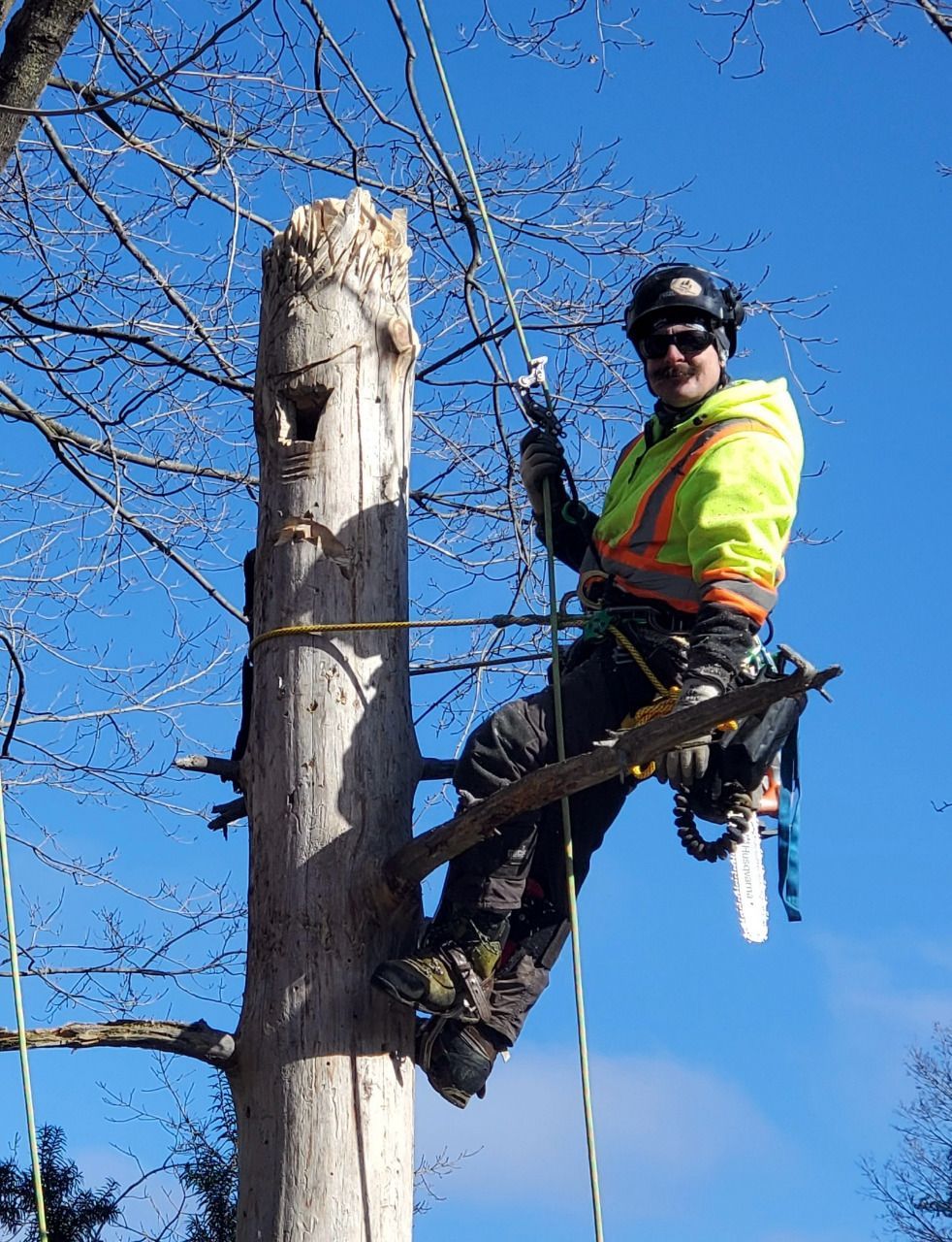 A tree stump carved into the shape of a face in the woods.