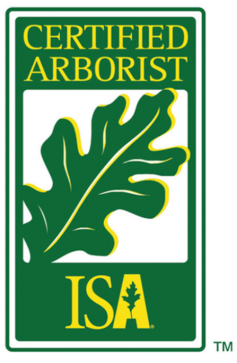 A certified arborist isa logo
