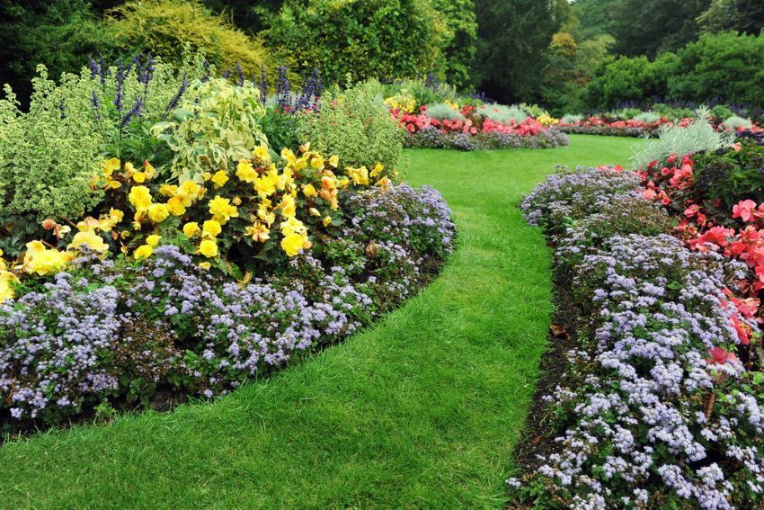 Curving Green Grass Path Through Colorful Flower Beds in A Lush Garden — Cessnock Landscaping Supplies In Cessnock, NSW