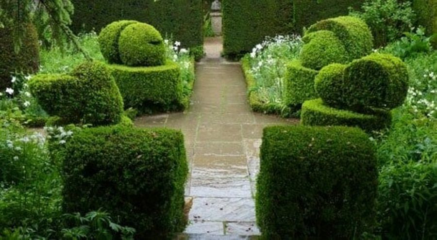 A Garden Path Lined with Sculpted Green Bushes — Cessnock Landscaping Supplies In North Rothbury, NSW