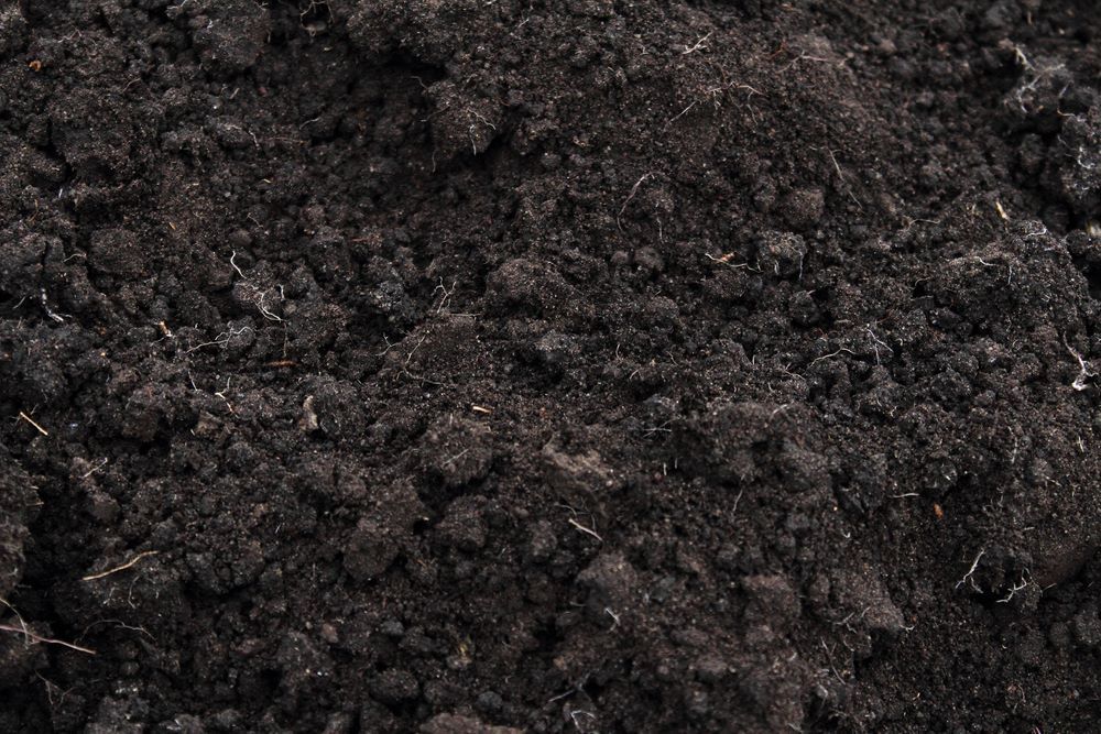 Close-Up of Dark, Rich Soil with A Slightly Uneven Texture — Cessnock Landscaping Supplies In Cessnock, NSW