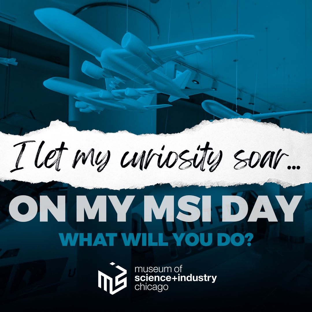 A poster that says i let my curiosity soar on my msi day