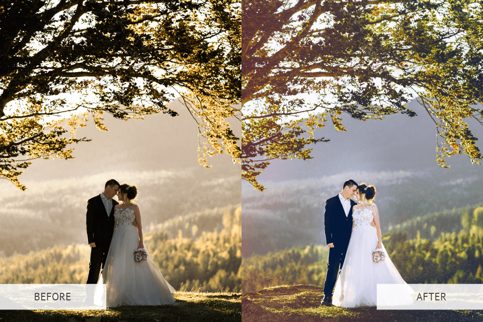 A before and after photo of a bride and groom standing under a tree.