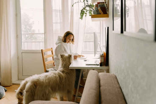 A woman is sitting at a desk with two dogs standing next to her.