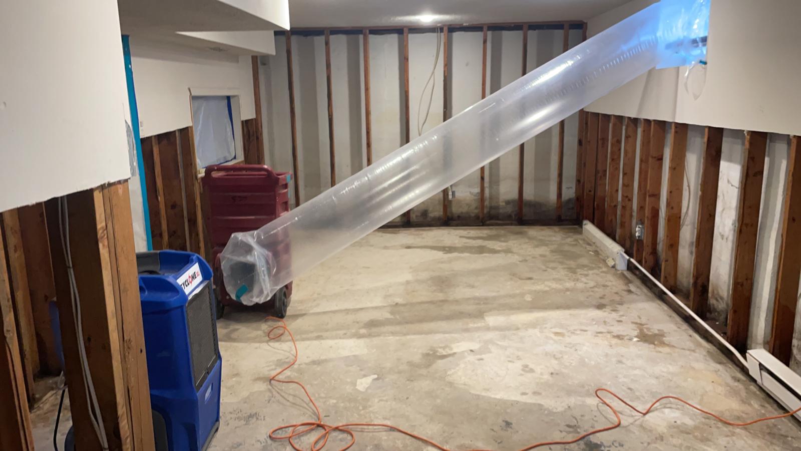 Getting Basement Mold Out of a Linden Home