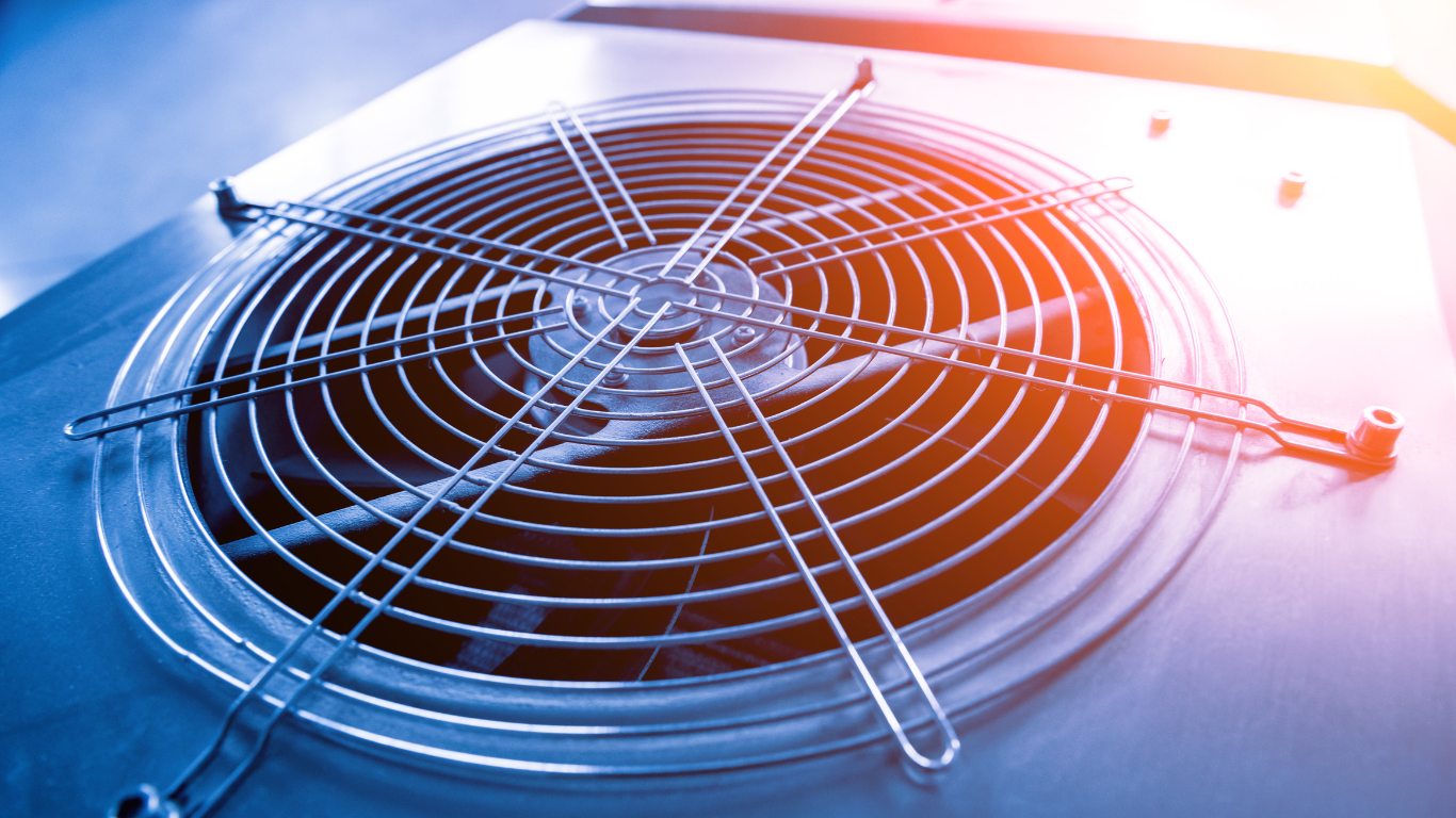 A close up of a fan on a blue background.