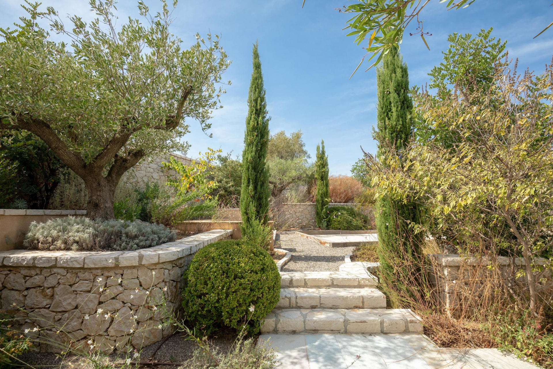 A stone walkway in a garden with trees and bushes at villa in Corfu, Greece.