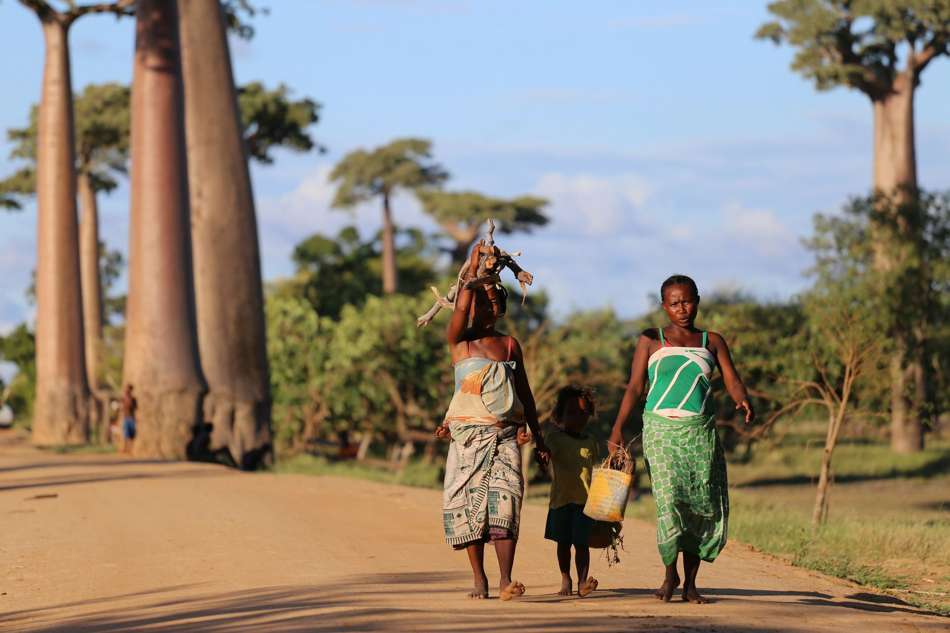 People walking on a dirt road lined with baobab trees. Madagascar.
