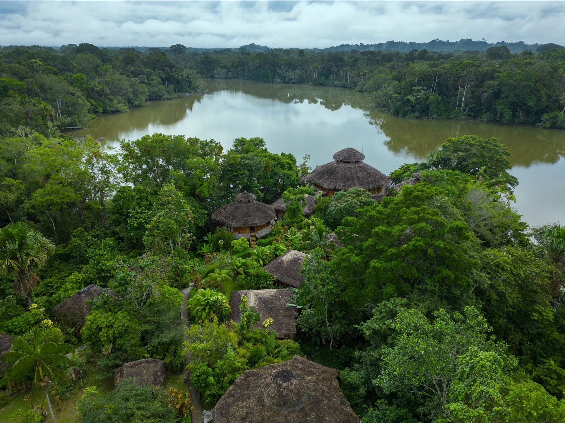 An aerial view of a lake in the middle of a lush green forest.